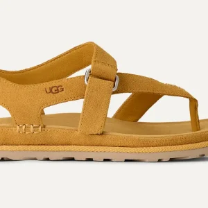 Women's GoldenGaze Toe Post